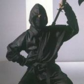 Nuclear ninja