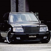 marek594