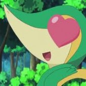 mielikki