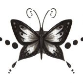 blackbutterfly fotka