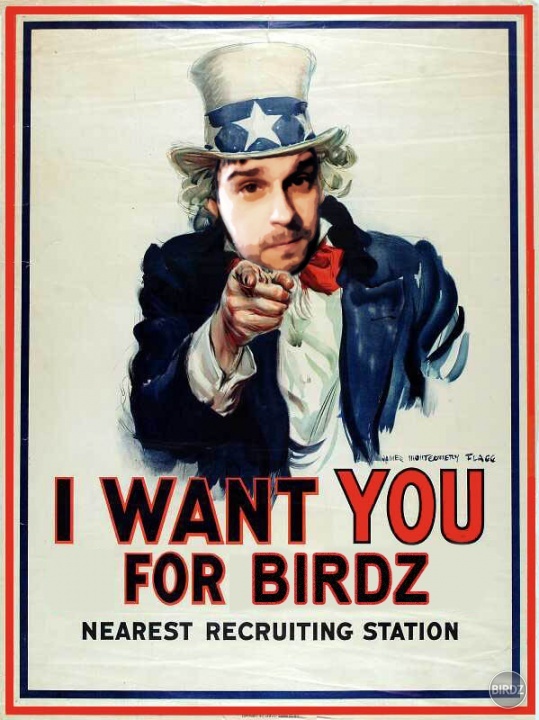 Nový námet na hlavnú stránku Birdzu