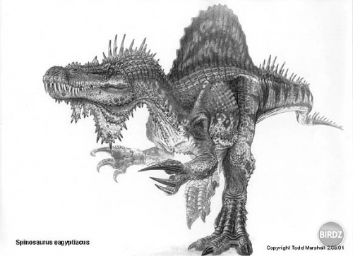spinosaurus_eagyptiacus

..hm hm to je ale rasa dinosaura hm...