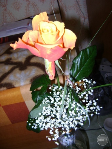 dostala som aj krásnu ružičku...