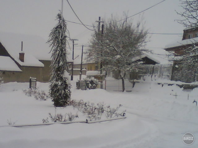 zima 2008