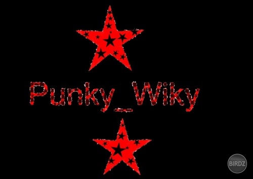 Punky_Wiky 