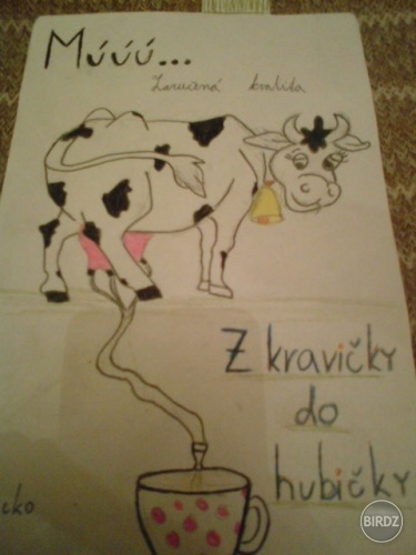  namet na slovensky vyrobok
ale keby namiesto tej kravy bola moja sestra tak by to bolo efektivnejsie