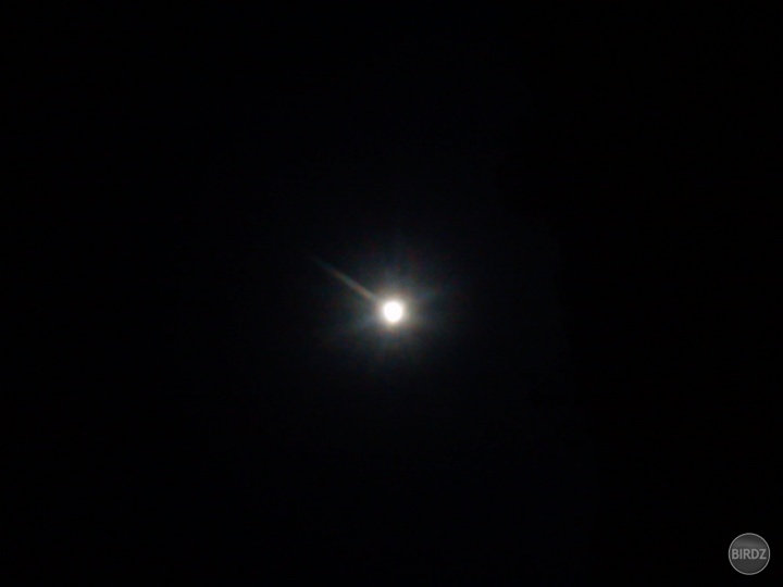 lebo mesiac je krásny