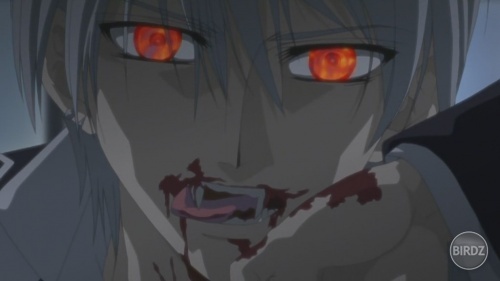 Vampire Knight - 03 - Large 28