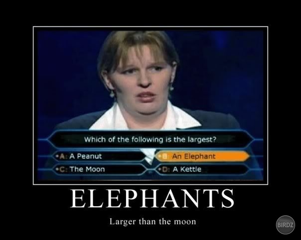 Slony-väčšie ako mesiac
(Ktoré z nasledujúcich je najväčšie? A)arašid, B)slon, C)mesiac, D) kanvica)