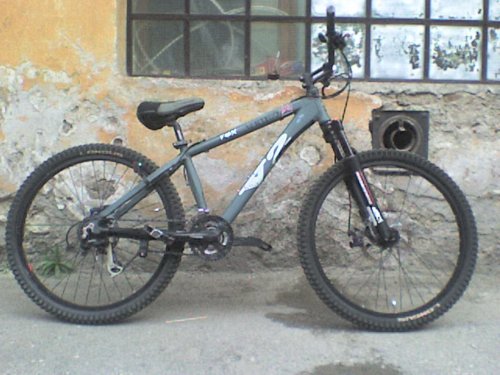 Biker Rulez