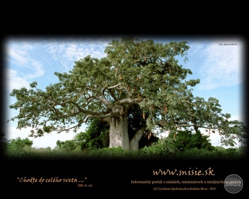 Gigantický Prossový strom