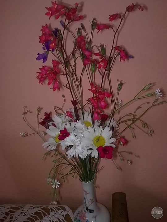 milujem kytičky zo živých kvetov