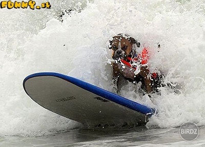 pes na surfe