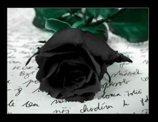 Vždy som chcela čiernu ružu... vždy :´(