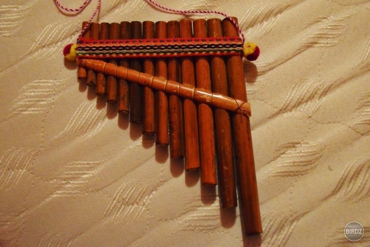 a mám panovú flautu priamo od indiánov! :) 