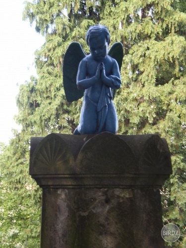 Prešov - kalvária - anjel 2