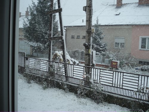 sneží a prvýkrát tento rok :)