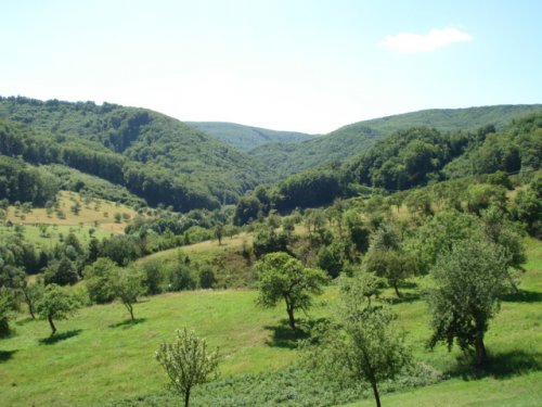 u starkej, pekne však ? :)