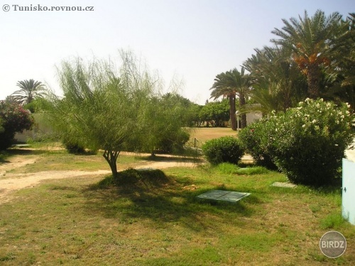 Záhrada v tunise