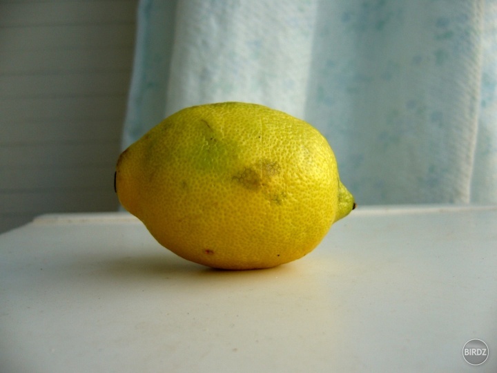 Za koľko myslíte, že vydražím tento zaláskovaný citrón?