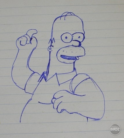 posledná, č.4 - Homer :D