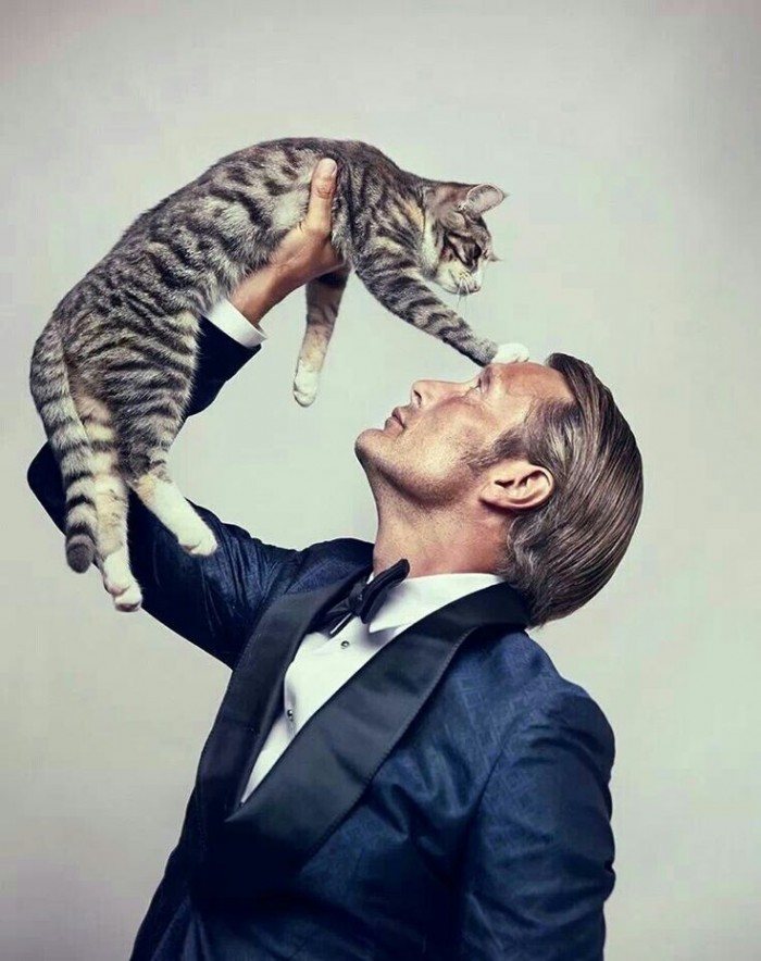 Kvôli tomuto chlapovi by som sa pokojne naučila mať rada mačky. *-*