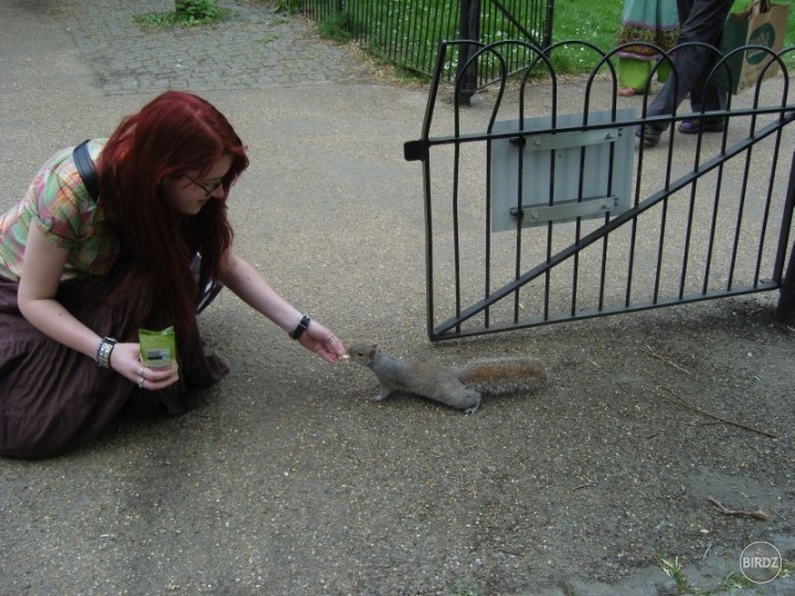 Také kŕmenie veveričiek môže byť naozaj veľmi zaujímavé!! 