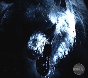 underworldlycan

..aj tento film mam hm Upiri vs, Vlkodlacy-i hm...