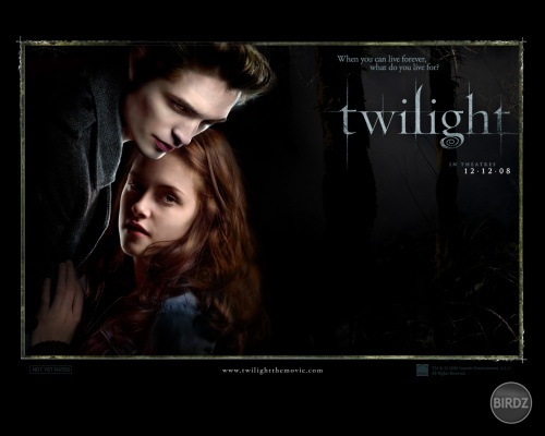Twilight :) premiera : 12.12.2oo8 :) v Amerike :D