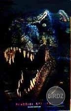 MV5BMTgzNjg5OTc3NF5BMl5BanBnXkFtZTYwMzE2Nzg5._V1._SX144_SY224_

..Tyranosaurus REX {Ty-Rex}