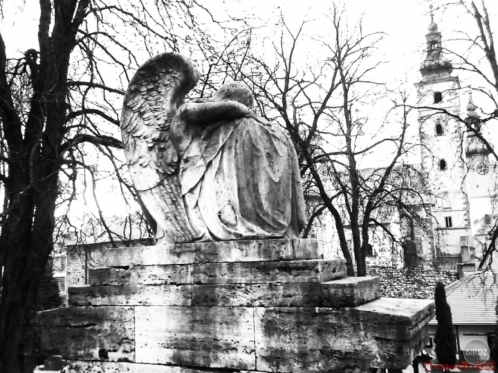 tuto foto absolutne milujem. odfotena asi pred 2 rokmi {to som mala 13!!!} na cintorine v banskej bystrici. fakt chodte si to tam checknut! umelecky zazitok na vysokej urovni!