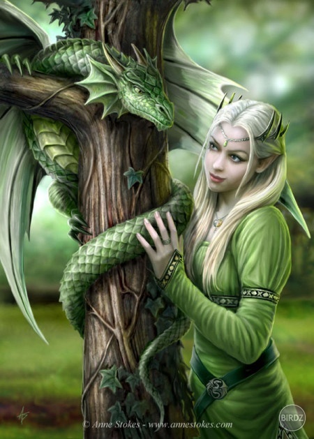 Draky sú často zobrazované spolu s elfami .... ktovie prečo =D
