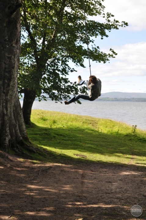Najlepšie je hojdať sa na škótskych stromoch. Tomu verte.