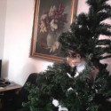 naša ozdoba na vianočný stromček :D