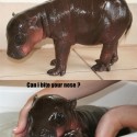 because a cat is too mainstream