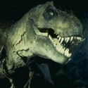 Jurský park (1993) Ty-Rex

..hmmm...