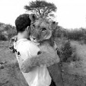 No čo mám slabosť pre chlapov s levmi :D http://refresher.sk/12673-Blizke-stretnutie-cloveka-s-levmi-v-africkej-Botswane