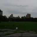 Ukážka z obrázkov v albume LETO 2010 NEW YORK