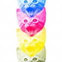 modern.cats.