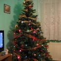 Vianocny stromcek, ktory som zdobil JA sam :P