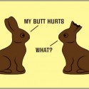 bunnies...
