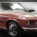 Signatura - Mustang