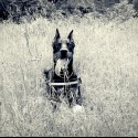 Foto od 