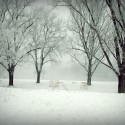 Ukážka z obrázkov v albume .. Winter ..