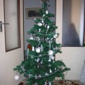 Stromček - Vianoce 2oo8