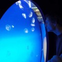 A toto je vážne že až umelecká fotka, ako môj tata pozoruje medúzky v londýnskom akváriu! Myslím si, že táto fotka by kľudne mohla vyhrať nejakú fotografickú cenu (minimálne za originalitu nápadu:).