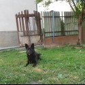 Foto od 