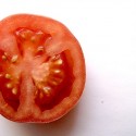 paradajka!