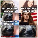 Foto od lawey