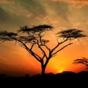 Západ Afrického slnka